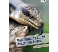 Bug Club Independent Non Fiction Year Two White A How Animals Smell, Taste and Touch