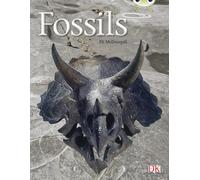 Bug Club Non-fiction Gold A/2B Fossils 6-pack