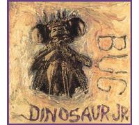 Bug - Dinosaur Jr. LP