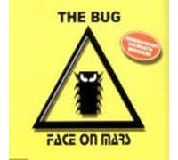 Bug - Face on Mars