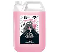 BUGALUGS Dog Shampoo 3 in 1 shampoo, Conditioner & Detangler - Raspberry & Lemon dog perfume grooming products for smelly dogs, best dog coat puppy shampoo, pet professional accessories