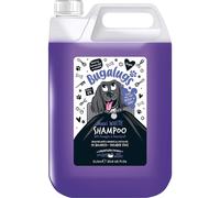 BUGALUGS Dog Shampoo Whitening & Brightening Coat Enhancer for all coat colours, best vegan puppy dog grooming Pineapple & Passionfruit (5 Litre)