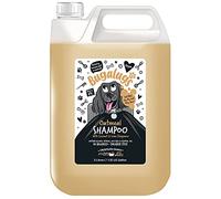 BUGALUGS Oatmeal & Aloe Vera Dog Shampoo 5 Litre dog grooming shampoo products for smelly dogs with fragrance, best oatmeal puppy shampoo,