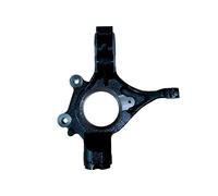 BUGIAD BSP25286 Steering knuckle