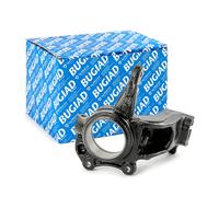 BUGIAD BSP25516 Steering knuckle