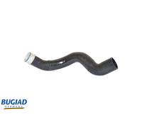 BUGIAD 86601 Charger intake hose