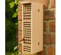 Buglife Solitary Bee & Bug Hotel | Eco-Friendly Insect Habitat Made from Biodegradable Corn-Starch Bioplastic & Recycled Wood Fibre | Bee Hive for Gardens & Allotments