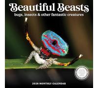 Bugs Calendar 2026 | 12” x 24” Beautiful Beasts: Bugs, Insects, and Other Fantastic Creatures 12 Month | Marble City Press | Backyard Entemologist | Dragonflies Spider Butterfly | 2026-2027 Calendar