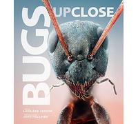 Bugs Up Close: A Magnified Look at the Incredible World of Insects