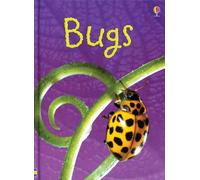 Bugs (Usborne Beginners)