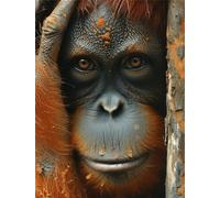 Bugufen Brown Orangutan Diamond Painting Kits, DIY 5D Diamond Art Kits for Adults, Animal Diamond Painting Accessories Full Set, Round Drill Diamond Painting Gem Art for Room Decor Gifts 30x40cm