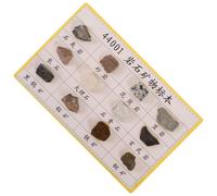 BUGUUYO 12 Pcs Mineral Rock Specimens Rock Kit Science Classroom for Collecting Stone Specimen for Teaching for Geology Kit Plastic