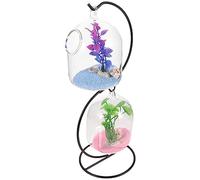 BUGUUYO 1set Transparent Aquarium Tank Stand Multi-function Hanging Fish Bowl for Betta Decorative Home Office Display Unique Design Craftsmanship