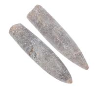 BUGUUYO 2pcs Natural Belemnite Specimens for Education and Decoration Mineral Models for Geology and Paleontology Study Authentic Epifaunal for Classroom and Home Display