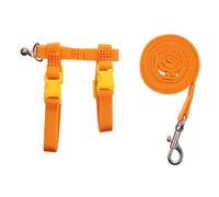 BUGUUYO 2pcs Pet Harness Leash for Small Pet Traction Rope Rabbit Hamster Bunny Leash for Outdoor Walking Exercise