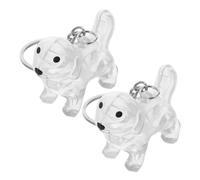 BUGUUYO 2pcs Transparent Pet Hair Keepsake Keychain Portable Storage Box Organizer for Puppy Memorial Visible Pet Fur Holder with Stylish Design for Collecting and Displaying Hair