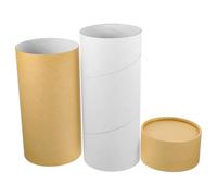 BUGUUYO Biodegradable Pet Ashes Urn Scatter Tube Eco-friendly Cremation Container for Dogs Cats Sealed Memorial Box for Ashes Keepsake Elegant Kraft Paper Design Suitable for Male Female
