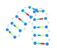 BUGUUYO Double Helix Dna Model Kit Educational Tool for Biology Science Molecular Structure for Classrooms Laboratories Science Fairs Representation of Dna for Enhanced Learning