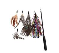 BUGUUYO Entertainment for Your Cat 6pcs Cat Interactive Teaser Feather and Pearl Heads Cat Feeding
