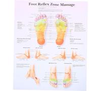 BUGUUYO Foot Reflexology Chart Poster 38x30cm Medical Education Wall Art for Home Office Decoration Massage Knowledge Guide