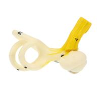 BUGUUYO Human Ear Canal Anatomical Model Inner Ear Structure Teaching Aid for Anatomy Education Hospitals and Universities