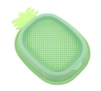 BUGUUYO Hydroponic Cat Grass Grow Kit Indoor Cat Grass Tray Easy Maintenance Clean Plastic Cat Grass Planter Box