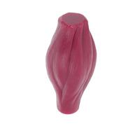 BUGUUYO Lb Human Muscle Model Educational Muscle Figure for Teaching and Anatomy Study Bright Color Realistic Texture for School and Laboratory Use