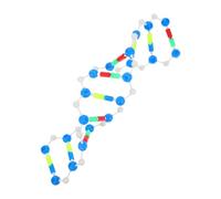 BUGUUYO Molecular Model Kit for Biology Education Detailed Double Helix Dna Structure for Science Fairs Classroom Activities Laboratory Demonstrations Enhances Understanding of Genetics