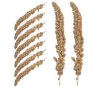 BUGUUYO Natural Husked Millet Treats for Parakeets and Pets Dried Bird Snack for Cockatiels Budgies Finches Parrots Wild Foraging Experience with Convenient Hanging and Nutrient-rich Food