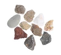 BUGUUYO Rock and Mineral Collection Box with Detailed Science Specimens Educational Geology Kit for Classroom Teaching and Field Testing Comprehensive Student Learning