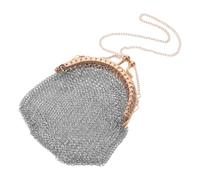 BUGUUYO Vintage Pouch Mesh for Women Coin Metal Style Purse Victorian Lightweight Portable Stainless Steel Change for Photography Props and Weddings