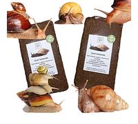 bugznbits Coco Substrate, Coco fiber Substrate, coir block (2 x 8-9L blocks)