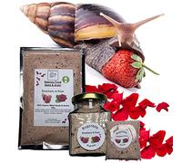 Bugznbits Giant African Land Snail Food, 100% Natural Blend with Strawberry & Rose, Also Great for Millipedes & Hermit Crabs (210ml Refillable Jar)