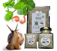 Bugznbits Giant African Land Snail Food, 100% Organic Blend with Lemon Balm & Shrimp Also Great for Millipedes & Hermit Crabs (210ml Refillable Jar)