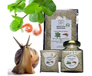 Bugznbits Giant African Land Snail Food, 100% Organic Blend with Lemon Balm & Shrimp Also Great for Millipedes & Hermit Crabs (210ml Refillable Jar)