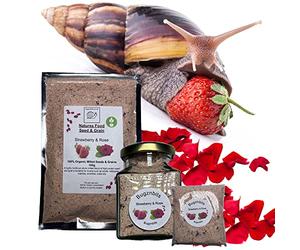 Bugznbits Giant African Land Snail Food, 100% Organic Blend with Strawberry & Rose, Also Great for Millipedes & Hermit Crabs (210ml Refillable Jar)