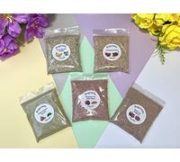 Bugznbits Giant African Land Snail Food, The Favorite Five pack, 5 packs