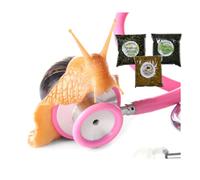 Bugznbits Giant African Land Snail Strength & Health Booster Pack, Great for Weak or Retracted snails or After Egg Laying