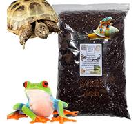 Bugznbits Jungle Earth Substrate, Our Most Versatile Substrate, Snails, Frogs, Reptiles and Supports Bio-active Set-ups (6 Litre)
