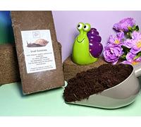 bugznbits Land Snail Soil, Snail Substrate, 8-9 litre Coir Block (Single Block)