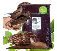 Bugznbits Premium Land Snail Substrate. African land snail substrate, coco coir (12 litre)