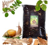 Bugznbits Premium Plus + Woodland Land Snail Soil. African land snail substrate (6 litre)
