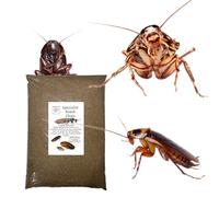 Bugznbits Roach Chow Cockroach Food, 1KG BREEDER Pack Dubia Madagascar Hissing Cockroad Red Runner