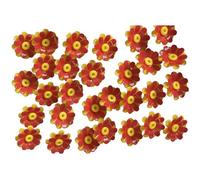 Buhdjfnke Bird Feeder Flowers,Set Bird Hanging Feeding Ports Replacement Parts Bird Feeder Supplies for Bird Feeder Easy to Use C