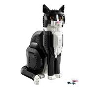 Tuxedo Cat