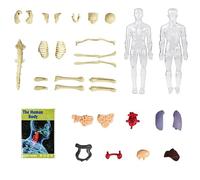 Build-Your-Own Skeleton & Organ Model Set Hands-On Biology STEM Toy For Children's Science Education Ages 5+ Preschool Biology Teaching Tool