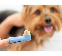 Building a Conditioned Emotional Response