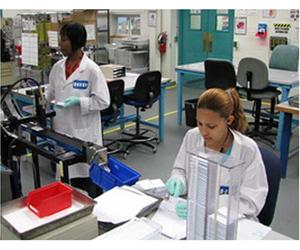 Building a Lean Culture [DVD]