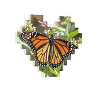 Building Brick Puzzles Heart Monarch Butterfly Building Block Puzzle Jigsaws for Adults Personalized Photo Block Puzzle Home Decor 3D Brick Puzzle for Women Men