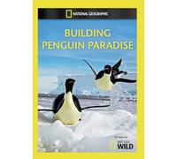 Artist Not Provided - Building Penguin Paradise [DVD] [Region 1] [US Import] [NTSC]